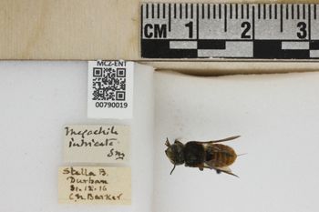 Media type: image;   Entomology 790019 Aspect: Labels
